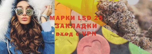 ГАЛЛЮЦИНОГЕННЫЕ ГРИБЫ Билибино