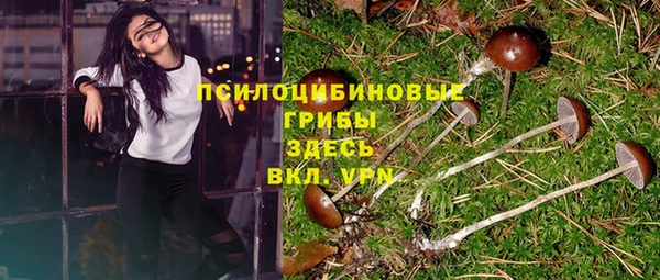 MDMA Бежецк