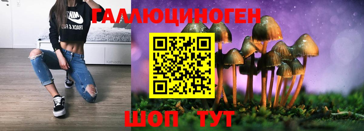 Гагарин  Псилоцибиновые грибы Psilocybine cubensis  Вход с VPN 